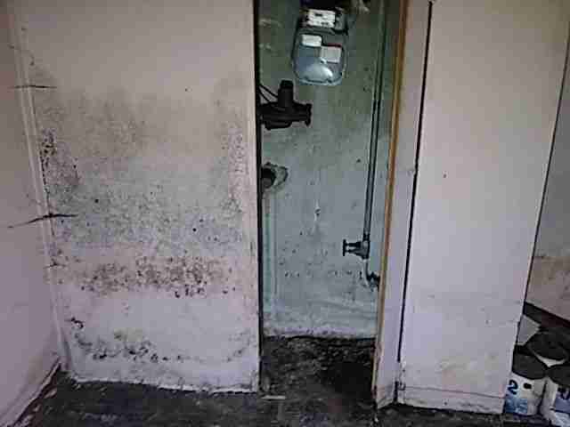 Testing again(56).jpg